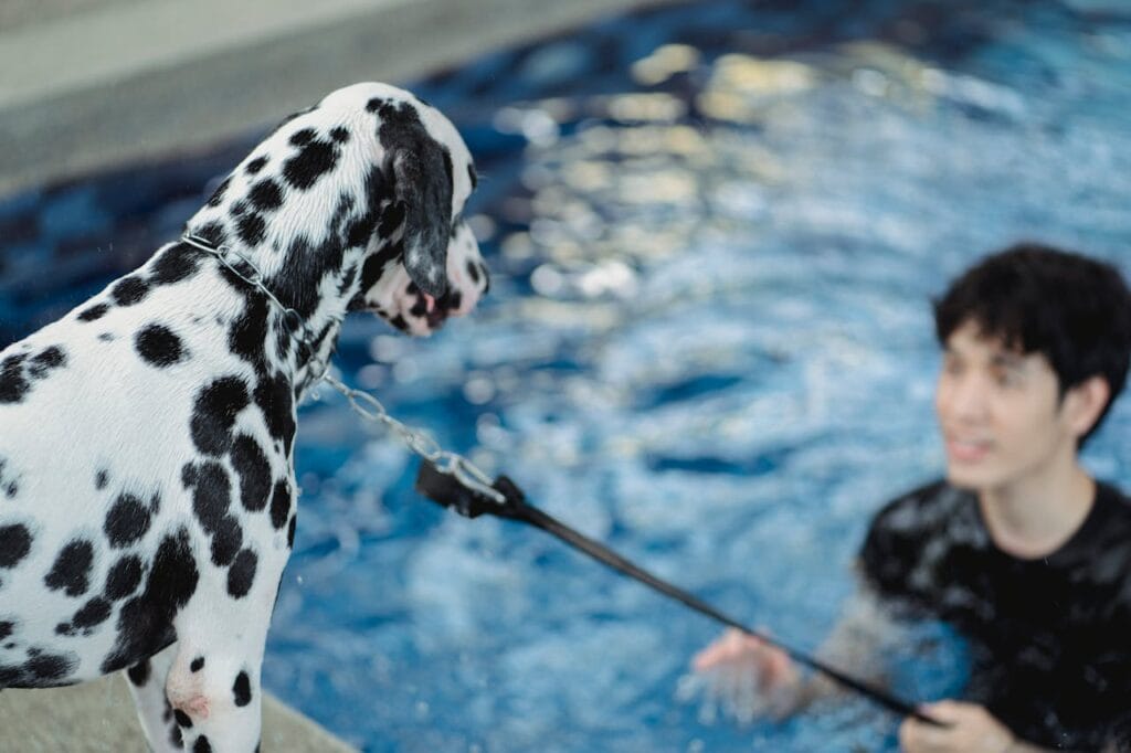 Why Do Dogs Hate Baths but Love Swimming? 1 Why Do Dogs Hate Baths but Love Swimming
