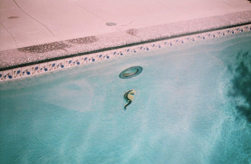 What Is a Swimming Pool Skimmer? 1 What Is a Swimming Pool Skimmer